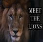 Meet the Lions thumbnail