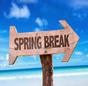 Spring Break thumbnail