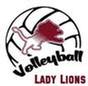 HS Volleyball Games thumbnail