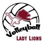 JV/V Volleyball Games thumbnail