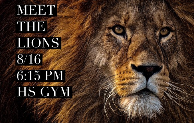 Meet the Lions 2021