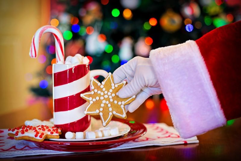 Hot Chocolate and Cookies